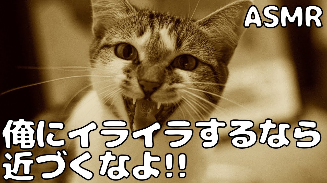 【ASMR】【喧嘩】ストレスで気持ちが不安定な彼女に 彼氏が声を荒げてしまい…【シチュエーションボイス】【女性向け】