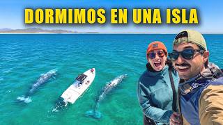 🐋 3 días BUSCANDO BALLENAS en una isla - Bahía Magdalena, BCS 🌵