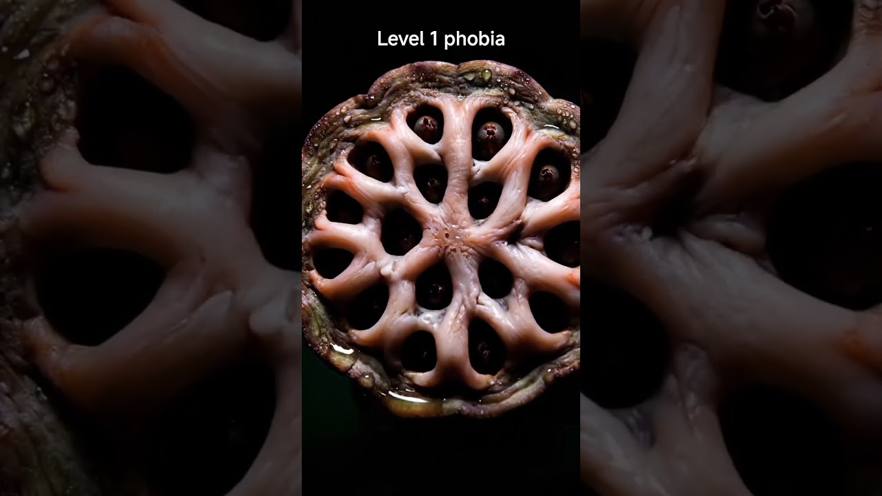 Trypophobia trigger warning can we handle this?