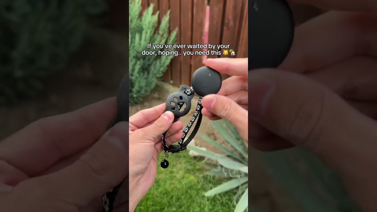 If you have a cat you need this gps tracker 🐈⬛