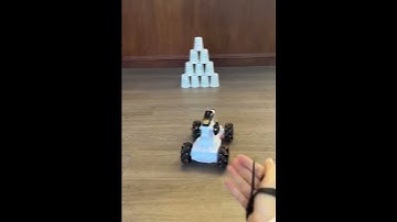 Hand Gesture Remote Control Car With Shooter - Playmaster Video