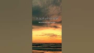 أفرأيتم الماء الذي تشربون. ماتيسر من سورة الواقعة بصوت الشيخ صلاح بو خاطر.