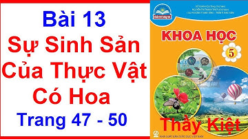 Khoa Học Lớp 5 Bài 13 | Sự Sinh Sản Của Thực Vật Có Hoa | Trang 47 - 50 | Chân Trời Sáng Tạo