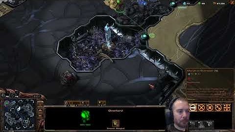 NewBreed vs llllllllllll ZvT on Pylon 2025-10-12