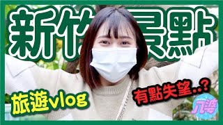 【Vlog】新竹一日遊景點綠世界生態農場！不會想去第二次？！近距離看樹懶、草泥馬！落羽松秘境│八婆BESTIES