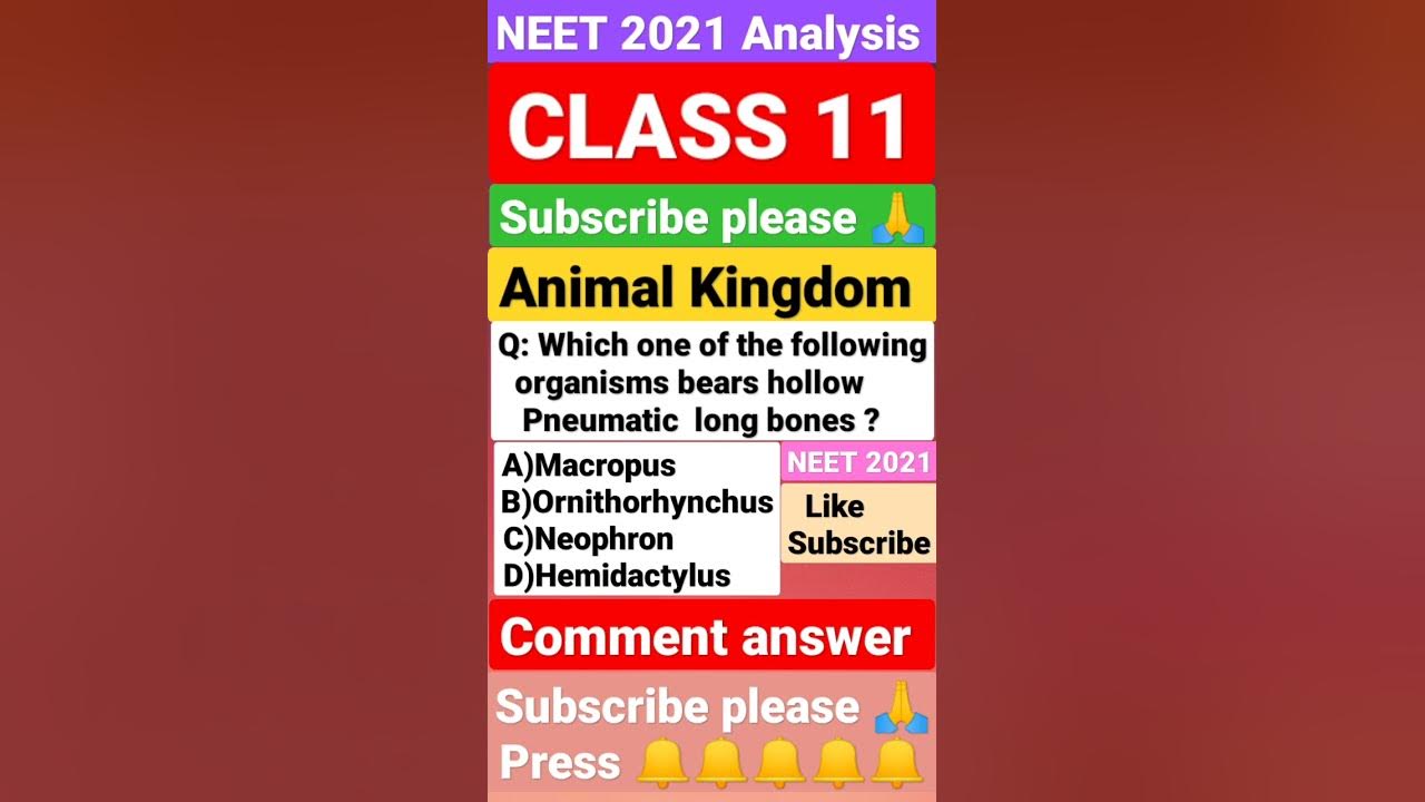 Animal Kingdom//Class 11// NEET PYQQUESTIONS#neetexam#viral#shorts