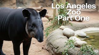 Los Angeles Zoo Full Tour 2025 - Part One