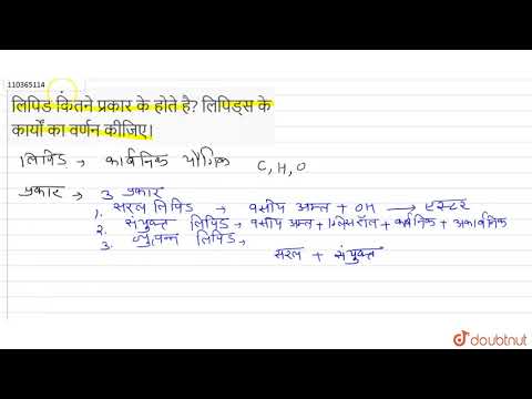 लिपिड कितने प्रकार के होते है? लिपिड्स के कार्यों का वर्णन कीजिए।