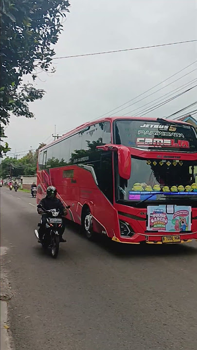 Camelia nih bosqu....