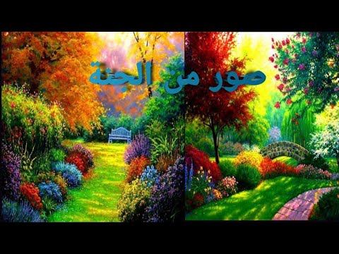 رنين اون لاين