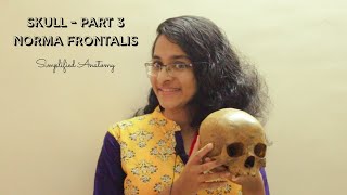 SKULL PART 3 | NORMA FRONTALIS | ANATOMY | SIMPLIFIED ✔
