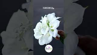 Bridal Bouquet- Calla Lillies Bridal Bouquet- Calla Lillies