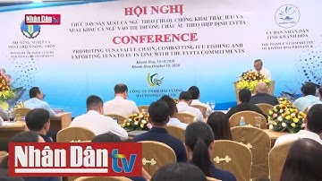Đẩy mạnh xuất khẩu cá ngừ Việt Nam