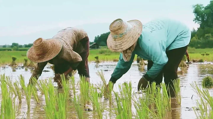 The 2nd World Irrigation Forum