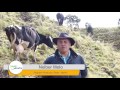 VOCES DEL CAMPO -PEQUEÑO GANADERO, NARIÑO.