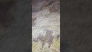 Thomas And Friends Rockos Modern Life Intro