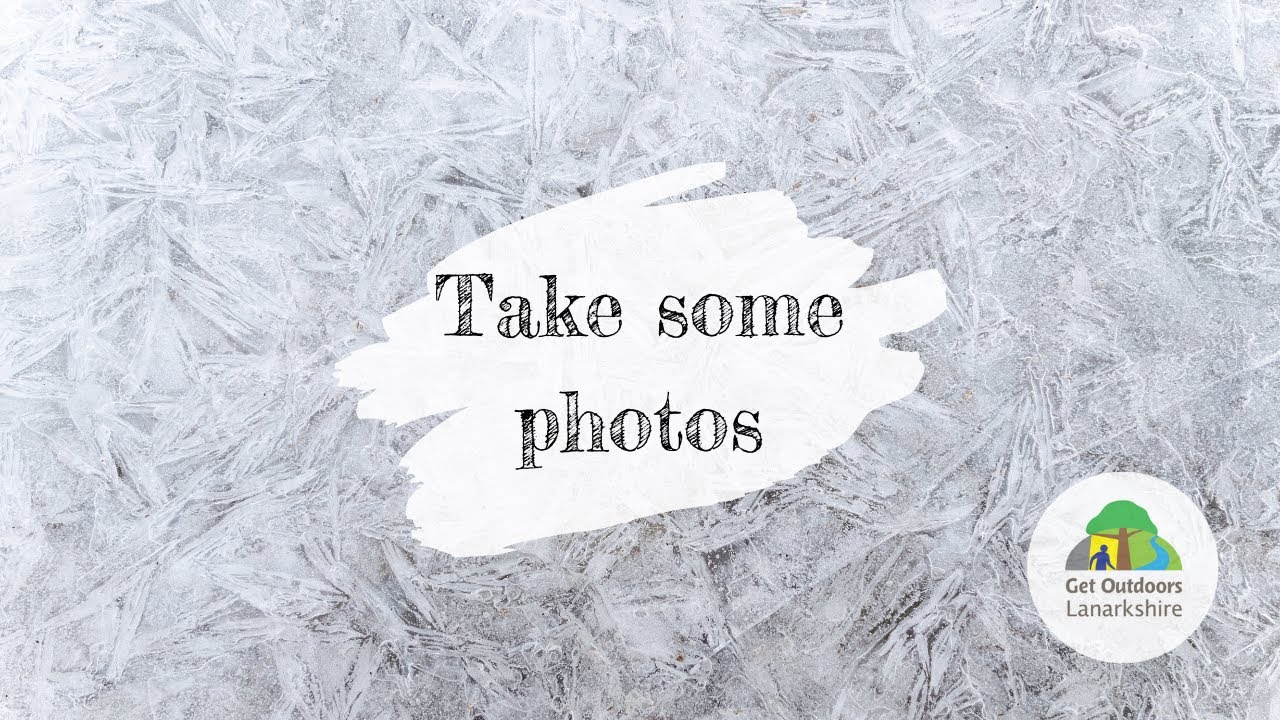 Take some nature photos