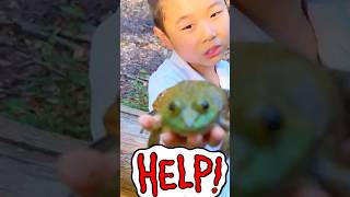 KIDS! 🐸We rescued a GIANT FROG from the pool!