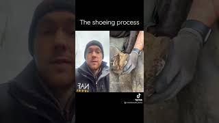 An Insight To What I’m Doing - Part 1 #Farrier #Shorts #Asmr #Satisfying #Oddlysatisfying #Horseshoe