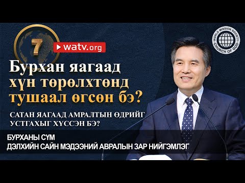 Видео: Австралид яагаад том махчин амьтан байдаггүй юм бэ?