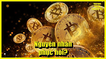 Nguyên nhân giúp Bitcoin phục hồi mạnh trở lại, ETH và LINK được tích lũy mạnh mẽ