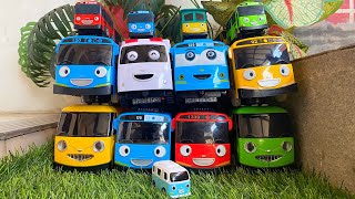 Tayo the Little Bus: Tayo,Lani,Rogi,Gani,Cito,Lolly,Alice,Bongbong,City Bus Car Collection