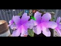 THIS 2KD PLAYER ALMOST DEFEATED ME😵😵😖😖😨 🥴🥴🤯🤯