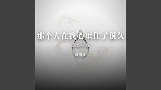 那个人在我心里住了很久（遗憾dj版）