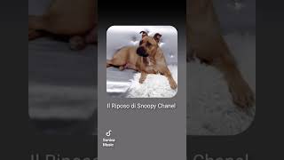 🐾 Chanel 🌈Il Riposo di Snoopy 