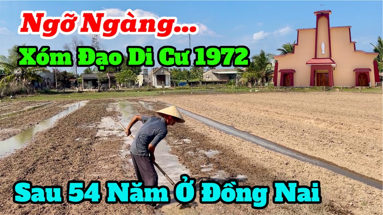 NGỠ NGÀNG! Xóm Đạo Người Quảng Nam - Đà Nẵng DI CƯ 1972 Sau 54 Năm ở Đồng Nai