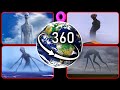 The Boiled One and Guilt Found on Google Earth! — VR 360°