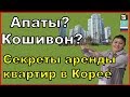 Жилье в Корее | Как найти квартиру | Подробно про недвижимость | Кореяда пәтерді қалай жалдайды?