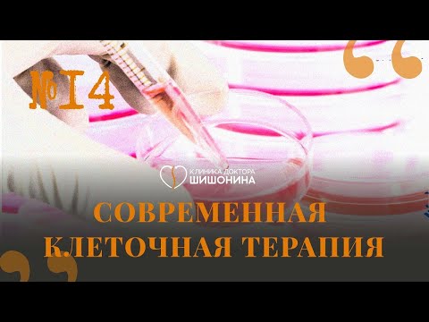 Современная клеточная терапия Илья Приколаб доктор Шишонин подкаст хорошая медицина