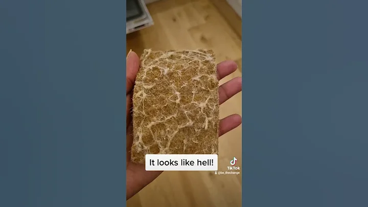 💥Update: Eco friendly dish sponge