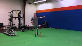 1-leg medial hurdle hop to Heiden