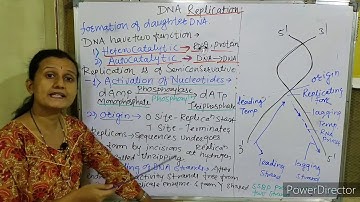 Molecular Basis of inheritance : Replication of DNA   Part - 8