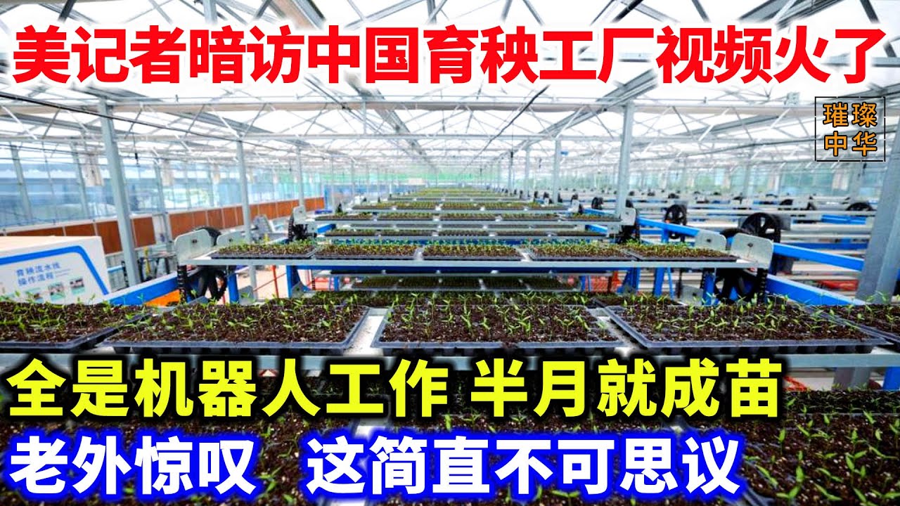 美记者暗访中国育秧工厂视频火了!#工厂 #种植业 #科技 - YouTube