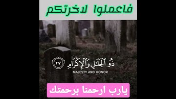 سورة الرحمن .كل من عليها فان.بندر ال يسر