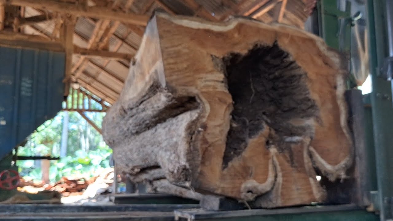 Entering the sawmill,a big hole still makes money 