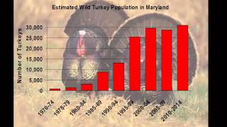 The Wild Turkey in Maryland The Wild Turkey In Maryland History Biology And Management
