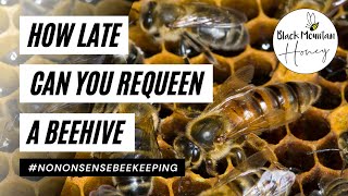 Celebrity How Late Can You Requeen A Beehive - Late Season Queen Replacement Explained Net Worth