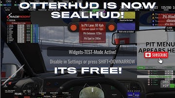 OtterHud is now SealHud - RaceRoom Overlays!