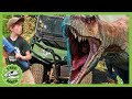 Hunt for GIANT T-Rex Dinosaur! + More T-Rex Ranch Adventures for Kids!