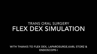Flex Dex Trans Oral Simulation
