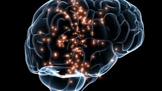 İnsan En Çok Yalanı Kendisine Söyler Kanıtı Bilişsel Çelişki Teorisi