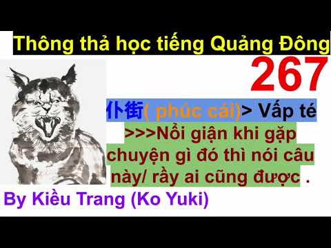 Chủ đề 267, học chửi bới bằng tiếng Quảng Đông - youtube