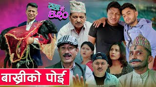 बाख्रीको पोइ | Wada Nambar 420 ( वडा नम्बर ४२० ) | Episode 14 | The Pk Vines || MYAKURI COMEDY VIDEO