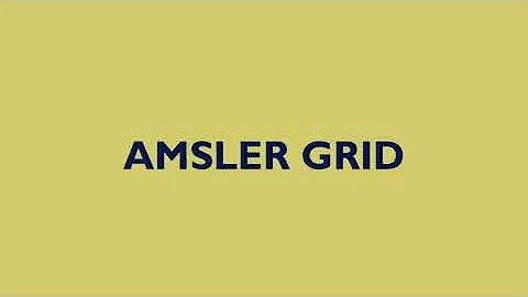 How to interpret an amsler's grid?