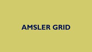 How to interpret an amsler's grid?