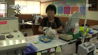 [순간포착 세상에 이런일이] 20131017 #4(7)